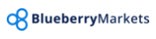 Blueberry Markets broker logo